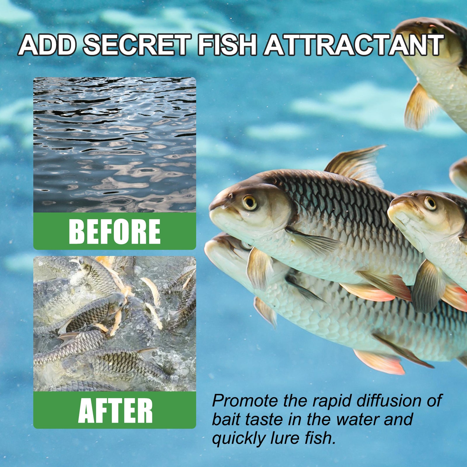 Yegbong Fishing Bait Attractant – 30ml, Wild Fishing Bait Additive, Freshwater