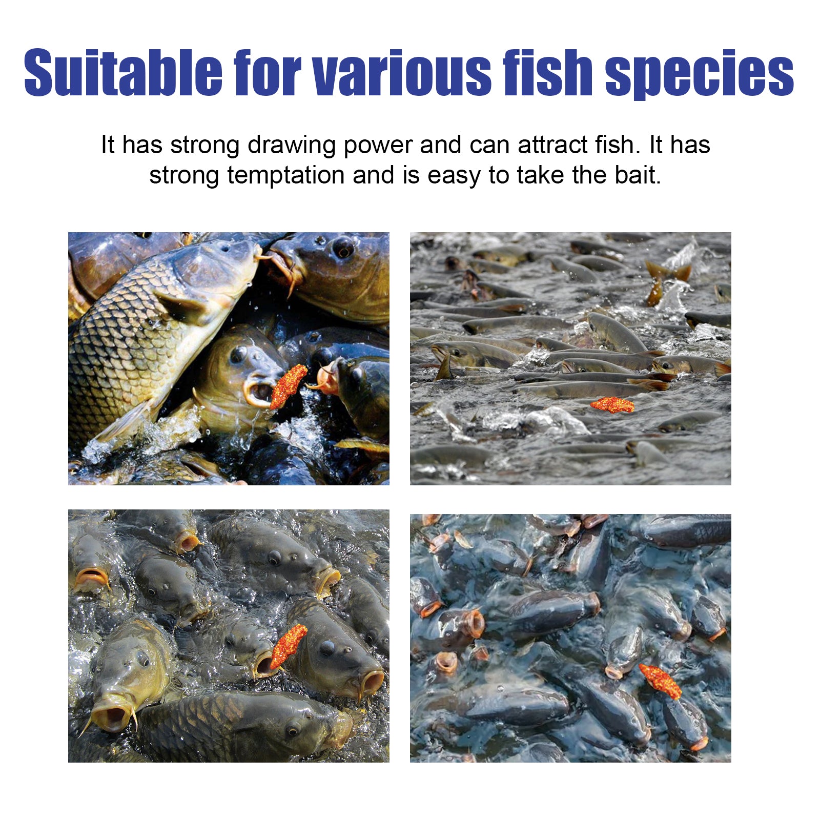 Yegbong Jellyfish Status Powder, Bait Bait Bait Bait Bait For Fishing Wild Fishing Bait Crucian Tilapia Bait